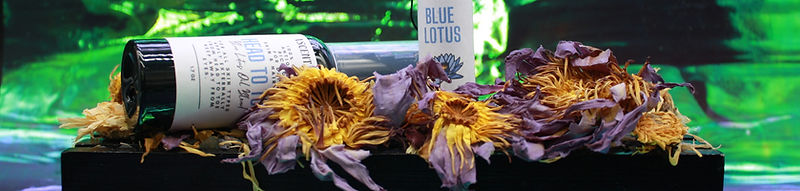 IMG_0714_edited.jpg