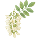 Inspirés de la permaculture les ateliers s’adressent à tous