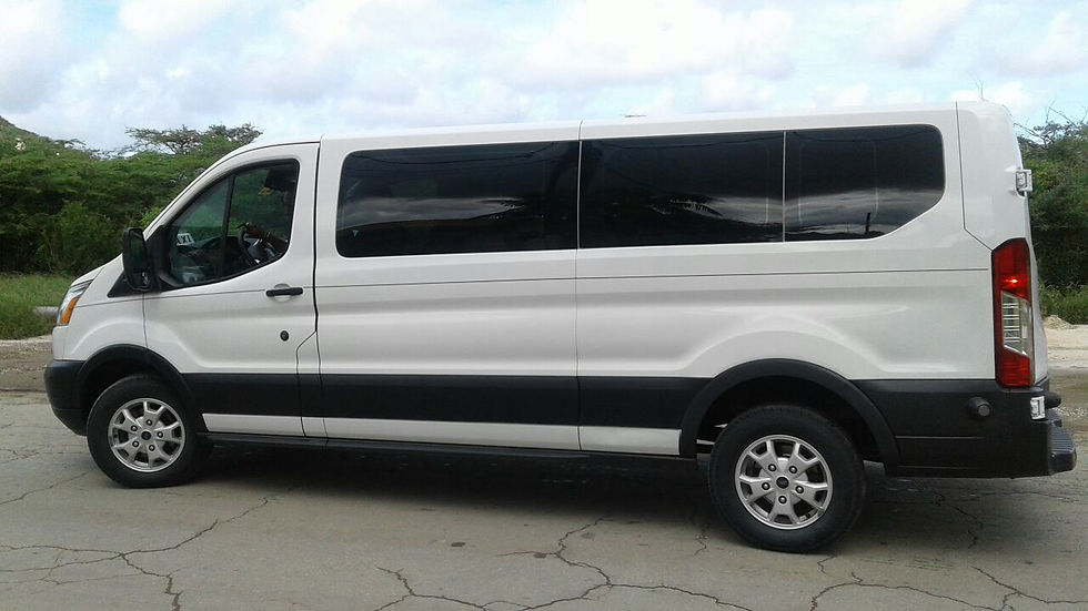 Taxi Ford Transit