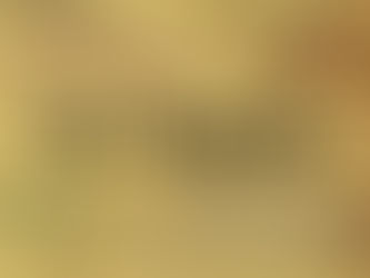 Feb. 25, 2024: The Privilege of Aging