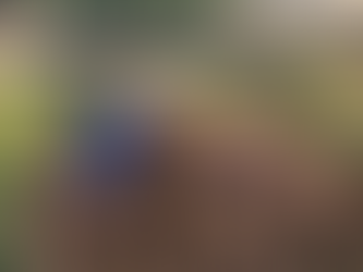 October 20, 2019- Vivid Fall Colors
