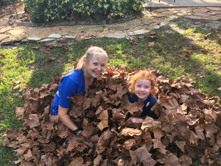 October 20, 2019- Vivid Fall Colors