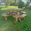 Thumbnail: Stained octagon picnic table