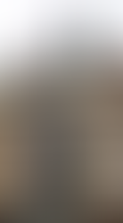 Statue and ornate façade of Hamburg City Hall, highlighting the city’s civic architecture