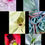 Thumbnail: Set of 6 cards, Flora, blank