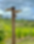 Travel and wine with viewfinder travel, alsace signage and vines
