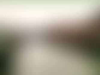 View of Hamburg and canals in winter