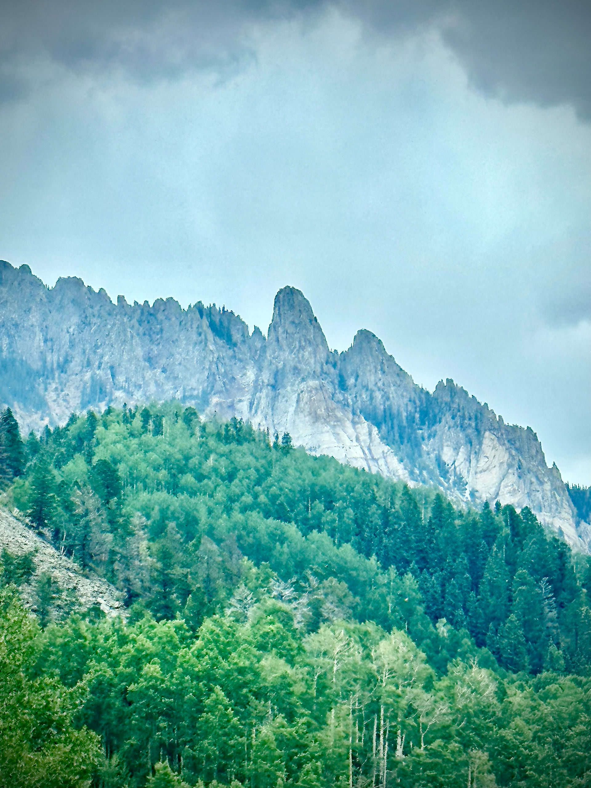 Mountain range of Telluride with forest in the foregound