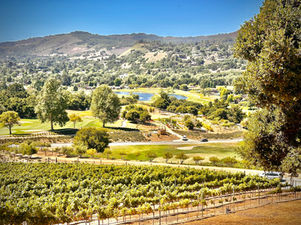 view of carmel valley, with golf, wine, food, nature