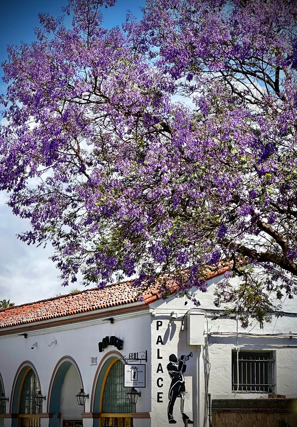 arches and tiled roof of santa barbara architecture shadowed by blooming purple jacaranda tree