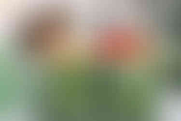 Sardinian art and flare with green chairs and table