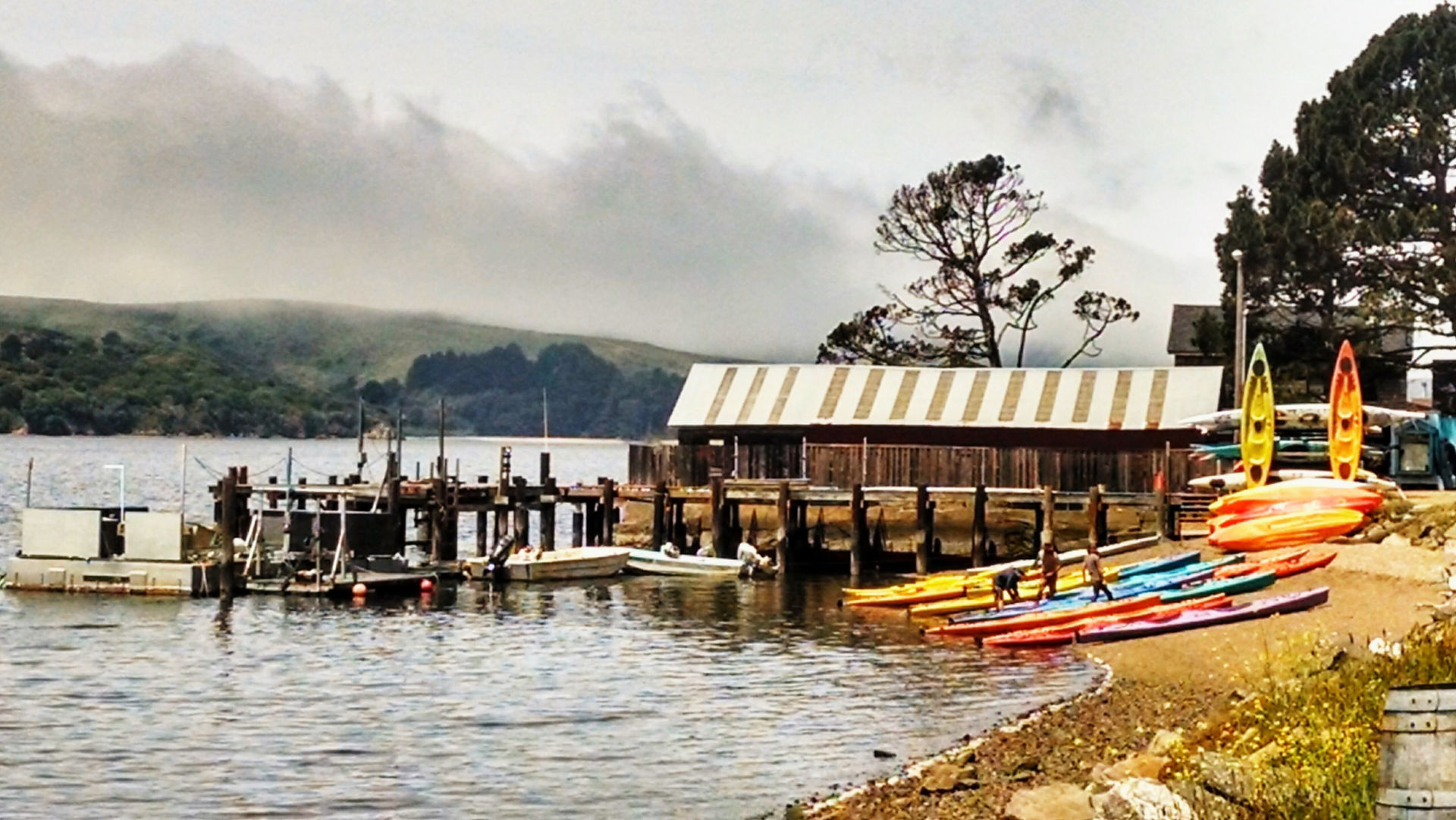 Tomales Bay waterfront with kayaks and oyster docks in Northern California.