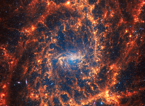 Spiral Galaxy NGC 2835.tif