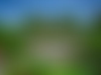 Magical Marriage Surprise Proposal at Isola Bella – Lake Maggiore