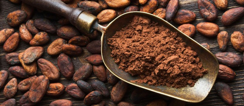 CACAO JN.jpg