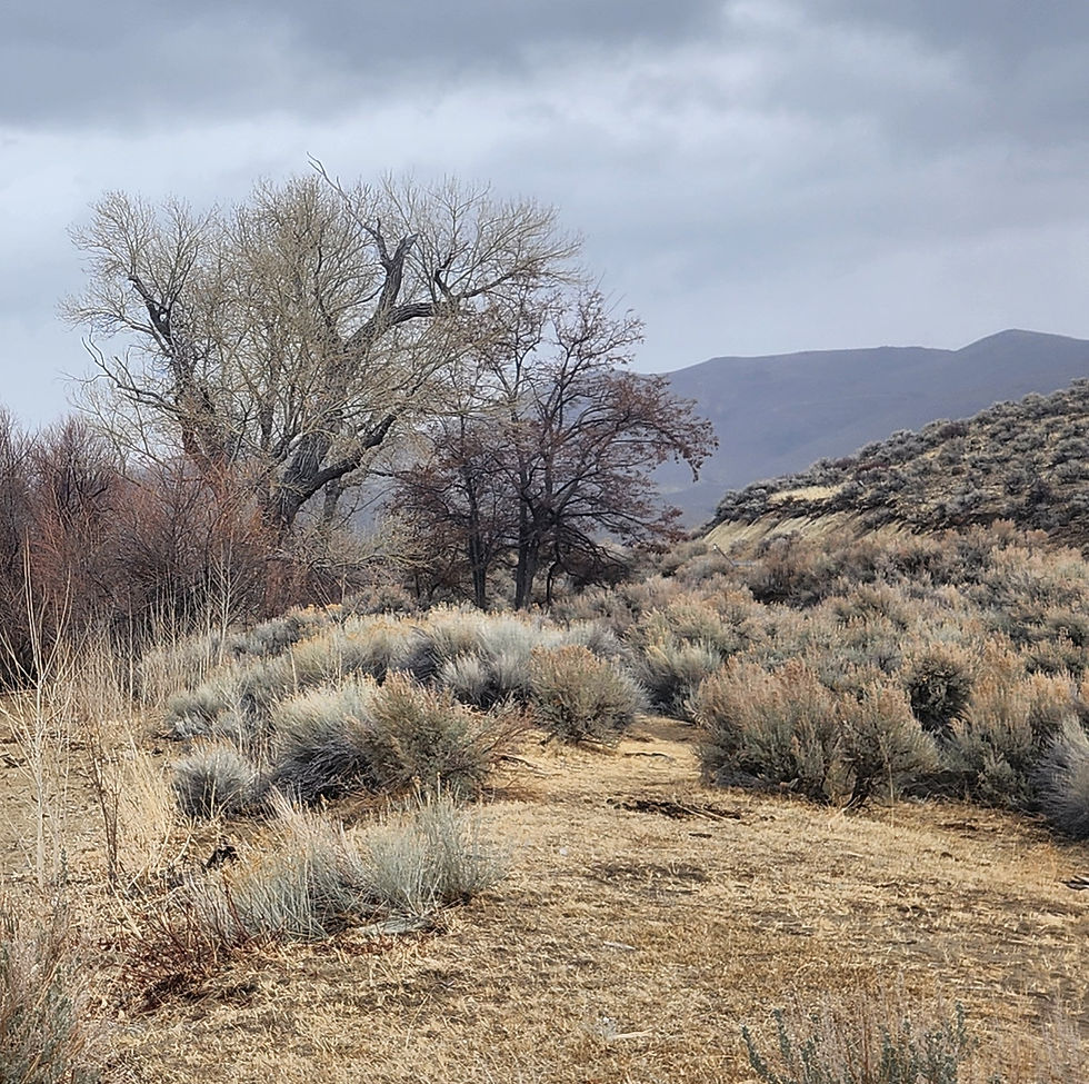 Thumbnail: Sierra Sanctuary II