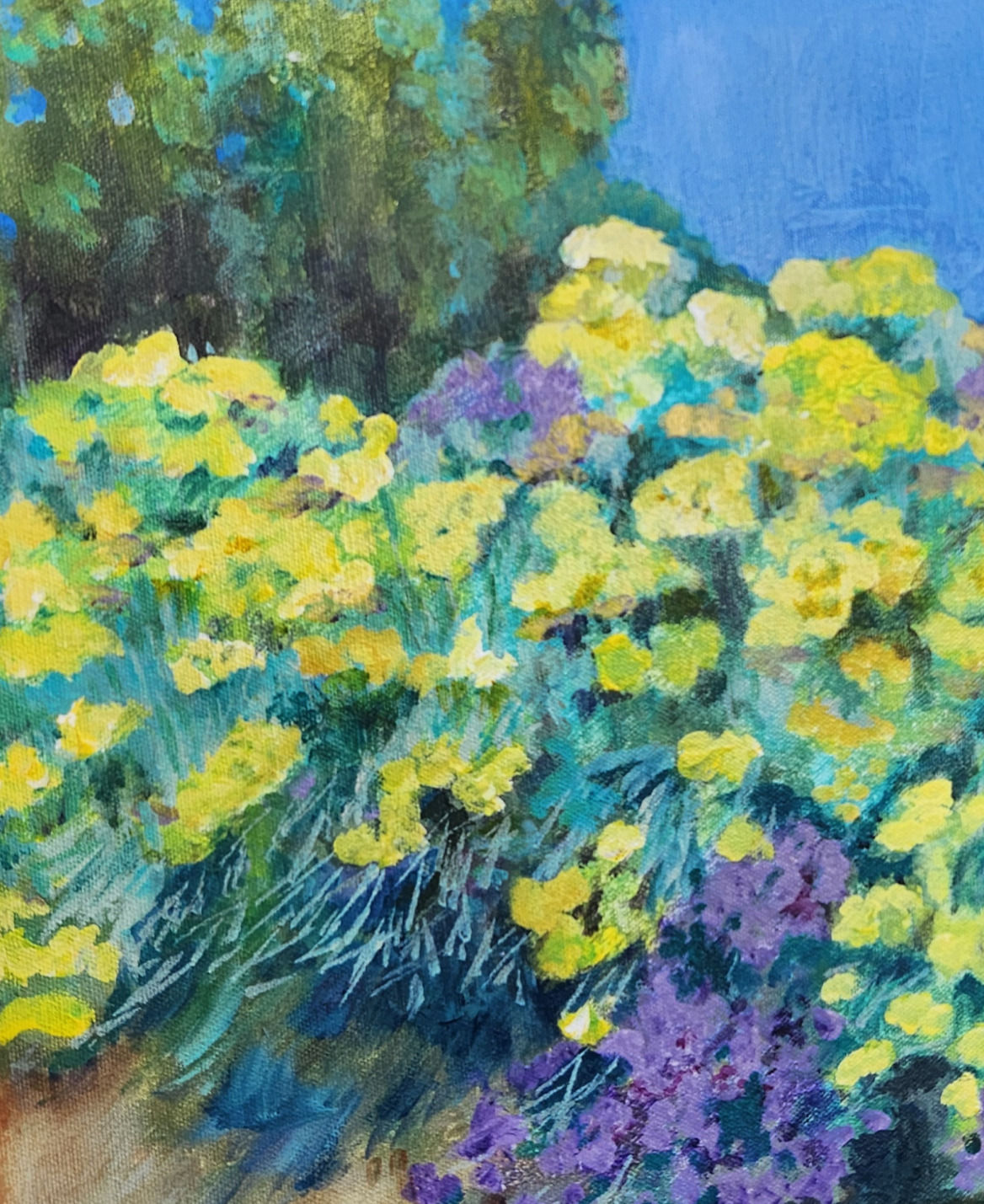 High Desert Blooms