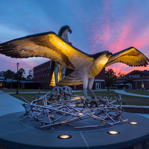 Public Installations