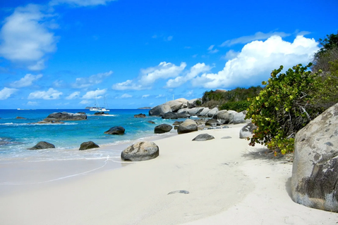 TRUNK BAY