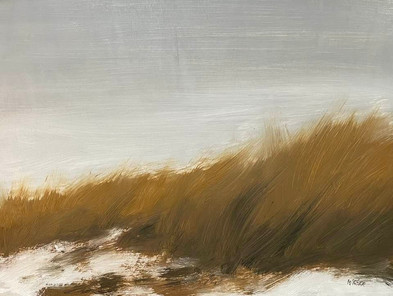 BEYOND THE DUNE