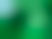 Untitled_Artwork 18.png