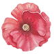 flower_2_edited.png