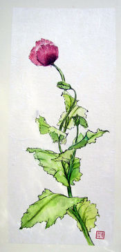 From an English Garden, poppy
47 x 20 cm
Chinese ink and watercolour,
painted on handmade paper
