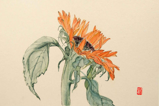 Sunflower
Chinese ink and watercolour