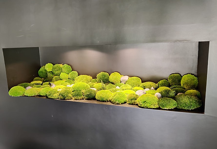 installation agencement vegetal rennes vegetalisation particulier maison entretien de plan