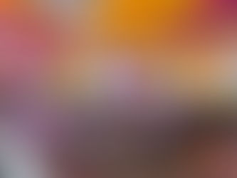 Finalizan la Primaria: 7mo grado recibió sus diplomas