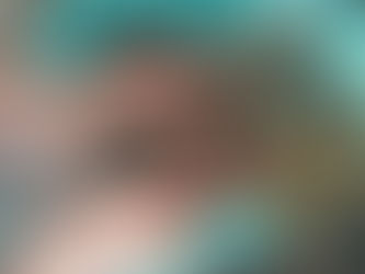 ¿Conocés qué son las bombas de semillas?