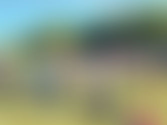 Convivencia de 3ero, 4to y 5to en El Pinar