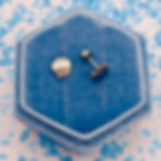 Shell studs