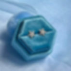 Starfish studs