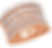 D4700RG_edited_edited.png