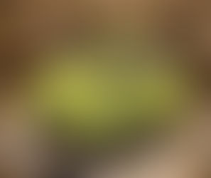 Aluguel de Romi Isetta para exposições exclusivas