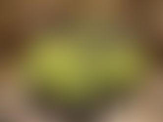 Aluguel de Romi Isetta para exposições exclusivas