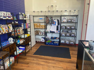 Colorado Cultures Englewood Location Interior