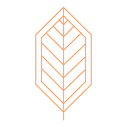 Leaf graphic