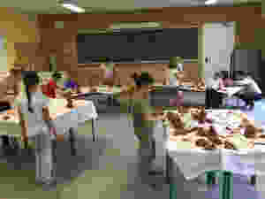 IMG_0091.jpeg