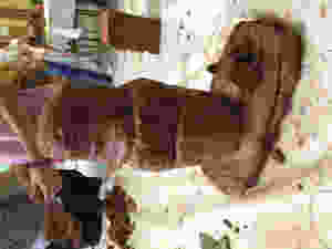 IMG_0107.jpeg