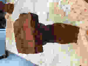 IMG_0104.jpeg