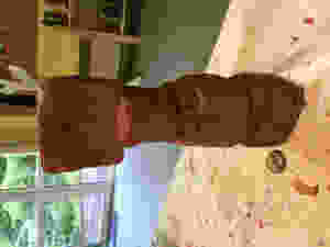 IMG_0103.jpeg