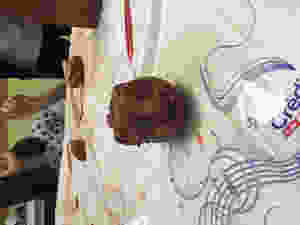 IMG_0094.jpeg