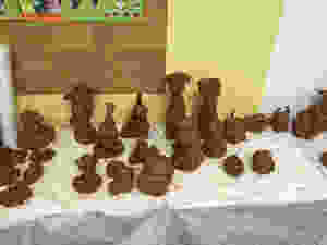 IMG_0110.jpeg
