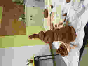 IMG_0093.jpeg