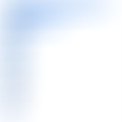 European perspective