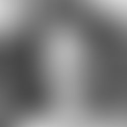 News from the European Silk Road