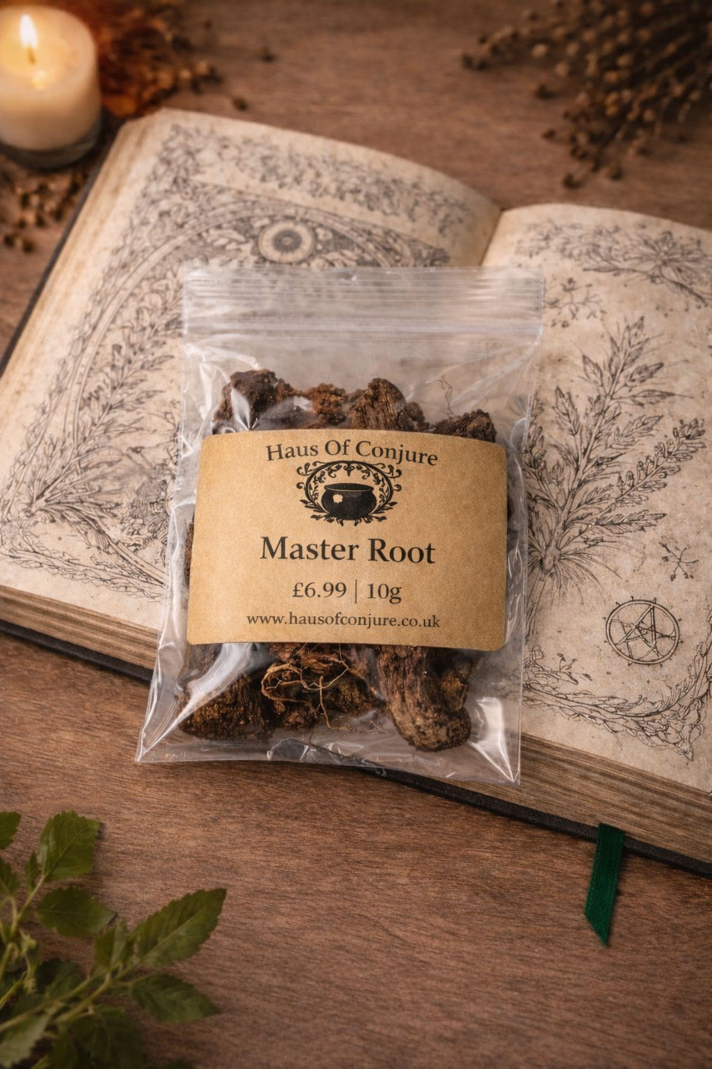 Master Root