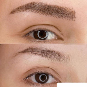 www.AsraHosseini.com-boldBrows1.jpeg